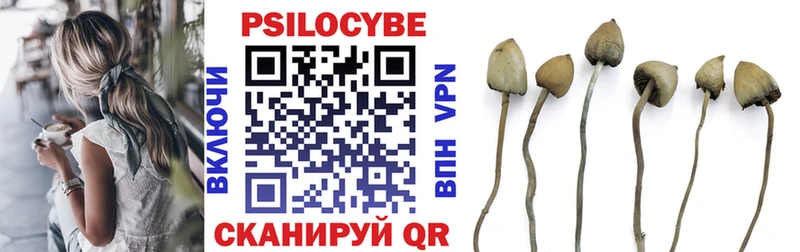 Купить где  Шацк  Галлюциногенные грибы Magic Shrooms 